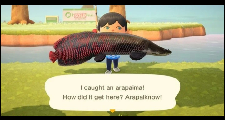Animal Crossing Fish Puns Know the Best of Them