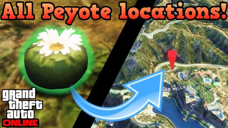 GTA 5 Peyote Plants Location: All Location and how to find
