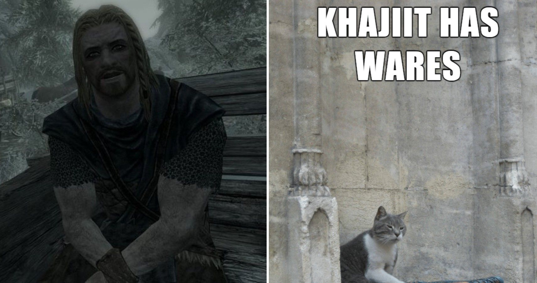 Best 5 Hilarious Skyrim Memes Funny of All Time