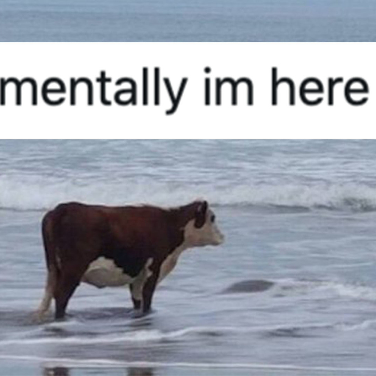 The 'Mentally I'm Here' Meme Explained Everything You Need To Know