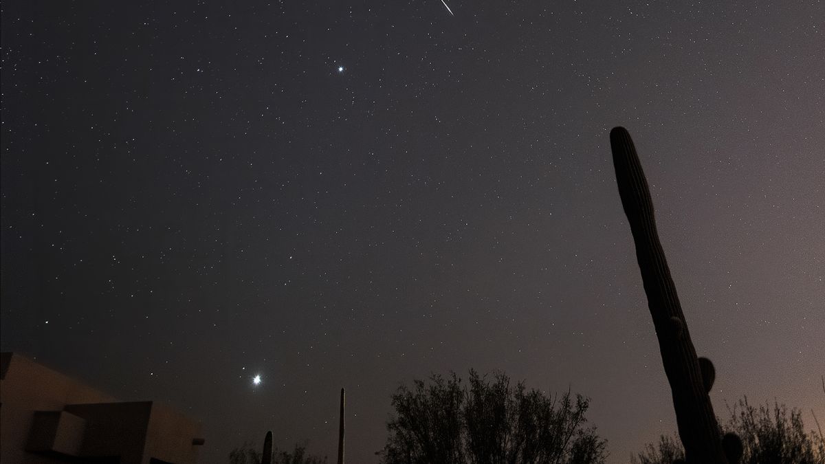 Leonid Meteor Shower On Its Peak: Where To Watch & When To Watch Know All The Details 