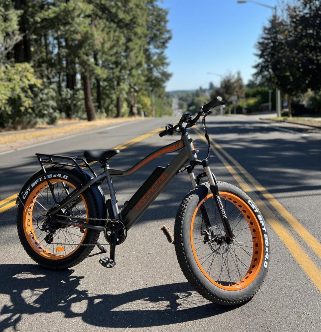 all-terrain E-bike